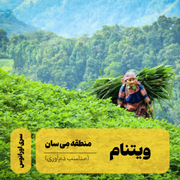 قهوه تخصصی ویتنام می سان - Image 1