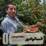 قهوه تخصصی السالوادور آهوچاپان
